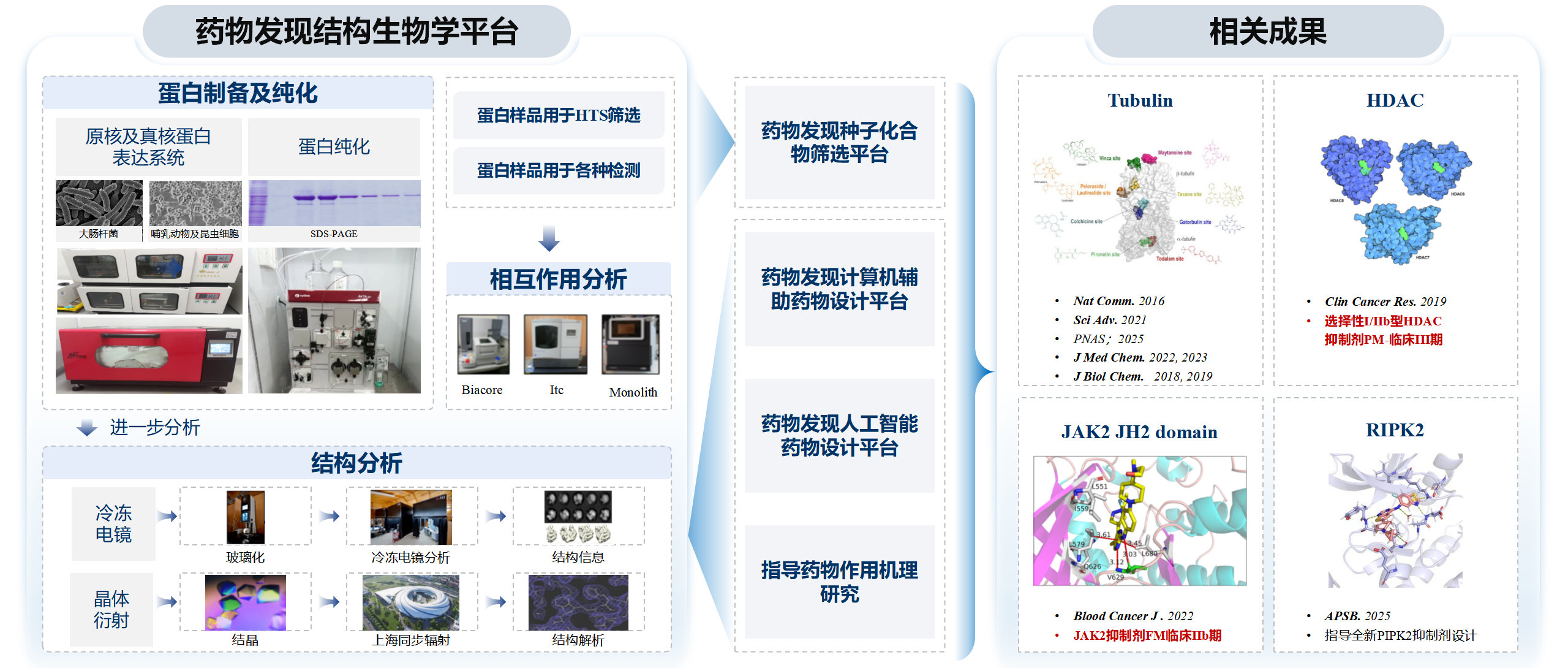 人工智能驱动药物设计平台