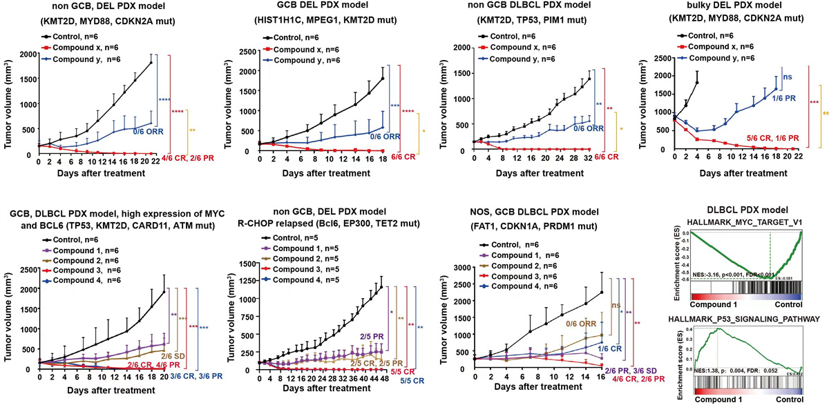 6c596217-9ab1-41cc-95c5-02d7b314095f